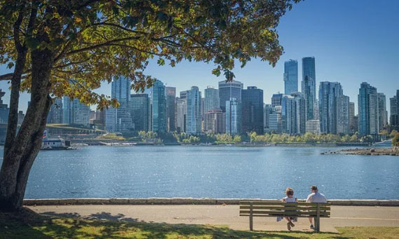 牛奶金又涨了！你家孩子也能享受