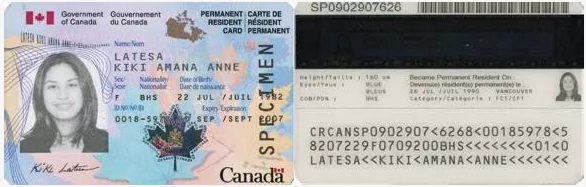 1562828702895751.png 重磅!安省雇主担保移民项目预计8月重启