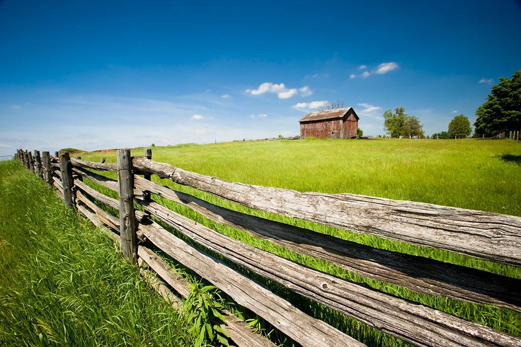 加拿大AFIR农业三年试点计划，火热进行中