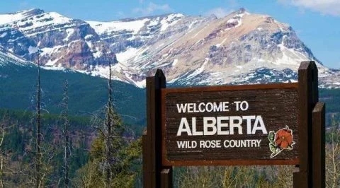 从对移民区别对待，到营造公平竞争环境，阿尔伯塔省做了什么？