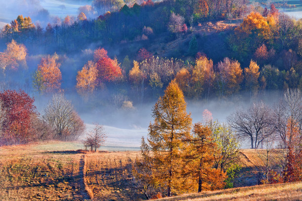 华人最喜欢移民加拿大哪个省份？它到底有什么独特魅力