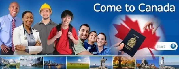 1586948392468944.jpg 加拿大雇主担保移民的真正核心焦点是什么?