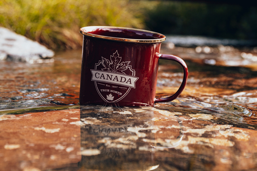 加拿大或将7月1日开放边境，下半年将会是移民好时机!