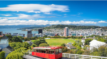 恭喜！新西兰留学移民客户H女士NZCEL语言签证两周下签！