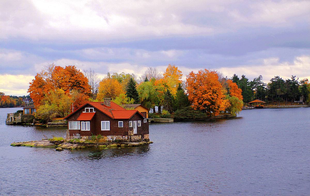 双减”政策下失业大军的重写人生