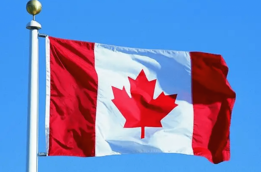 “双减”政策下失业大军的重写人生