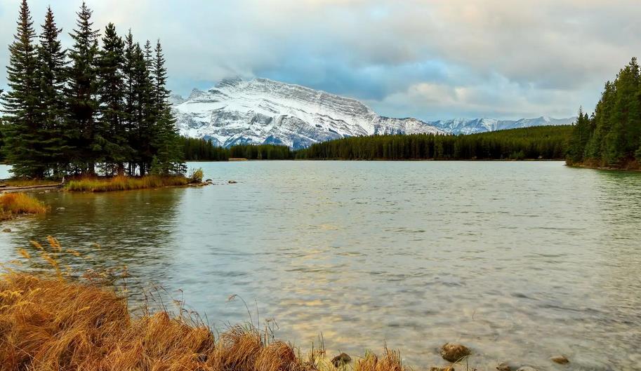 喜讯！BC客户工签顺利获批