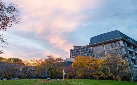 12.jpg 新西兰留学签证费用