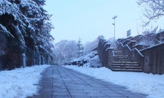 康考迪亚大学本科一年费用