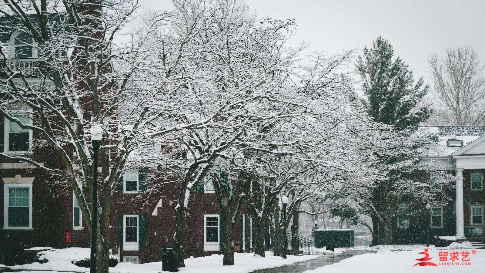 2024零基础考雅思6.0要备考多久呢 2024零基础考雅思6.0要备考多久呢