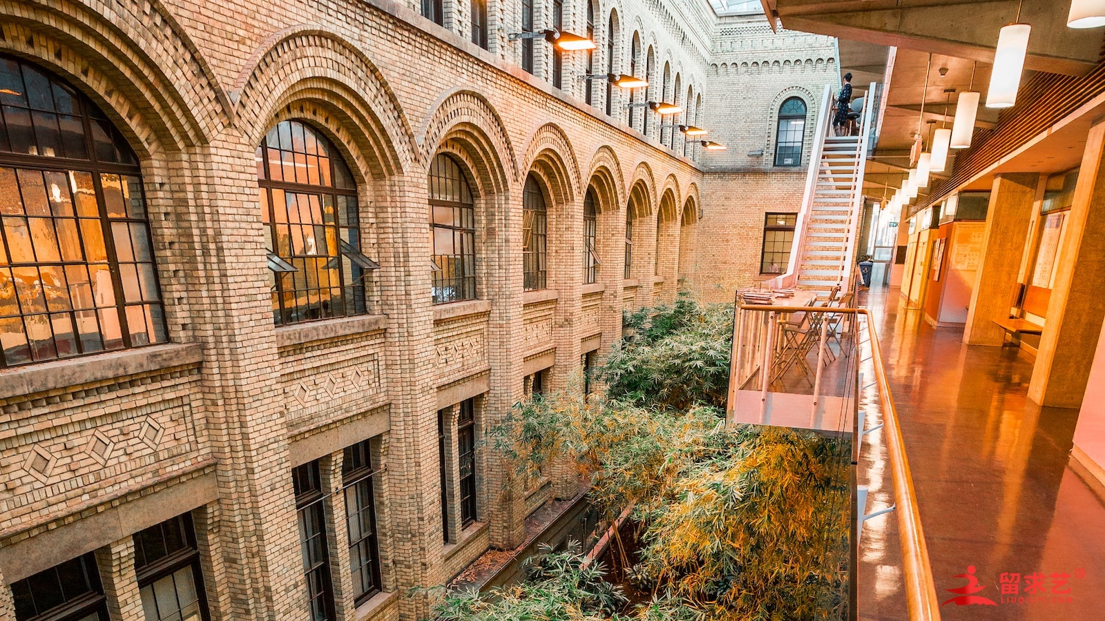 苏州诺德学校入学条件 - 关注国际学校招生政策