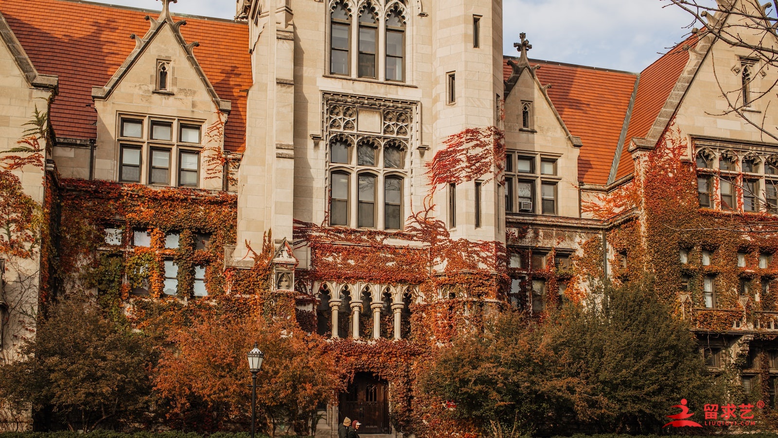 纽约大学排名一览表 纽约大学排名一览表