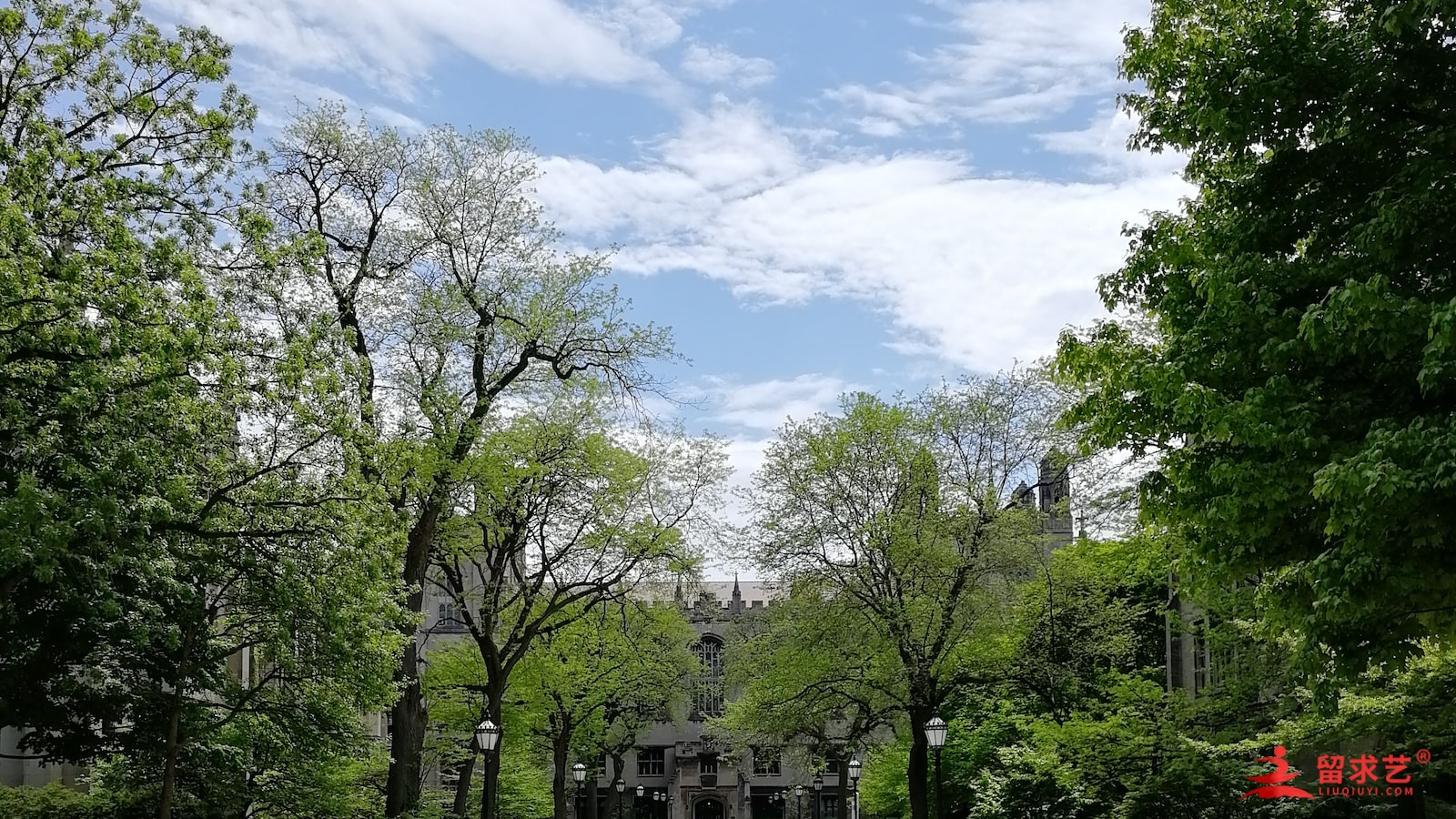 2024雅思报名条件及要求 2024雅思报名条件及要求