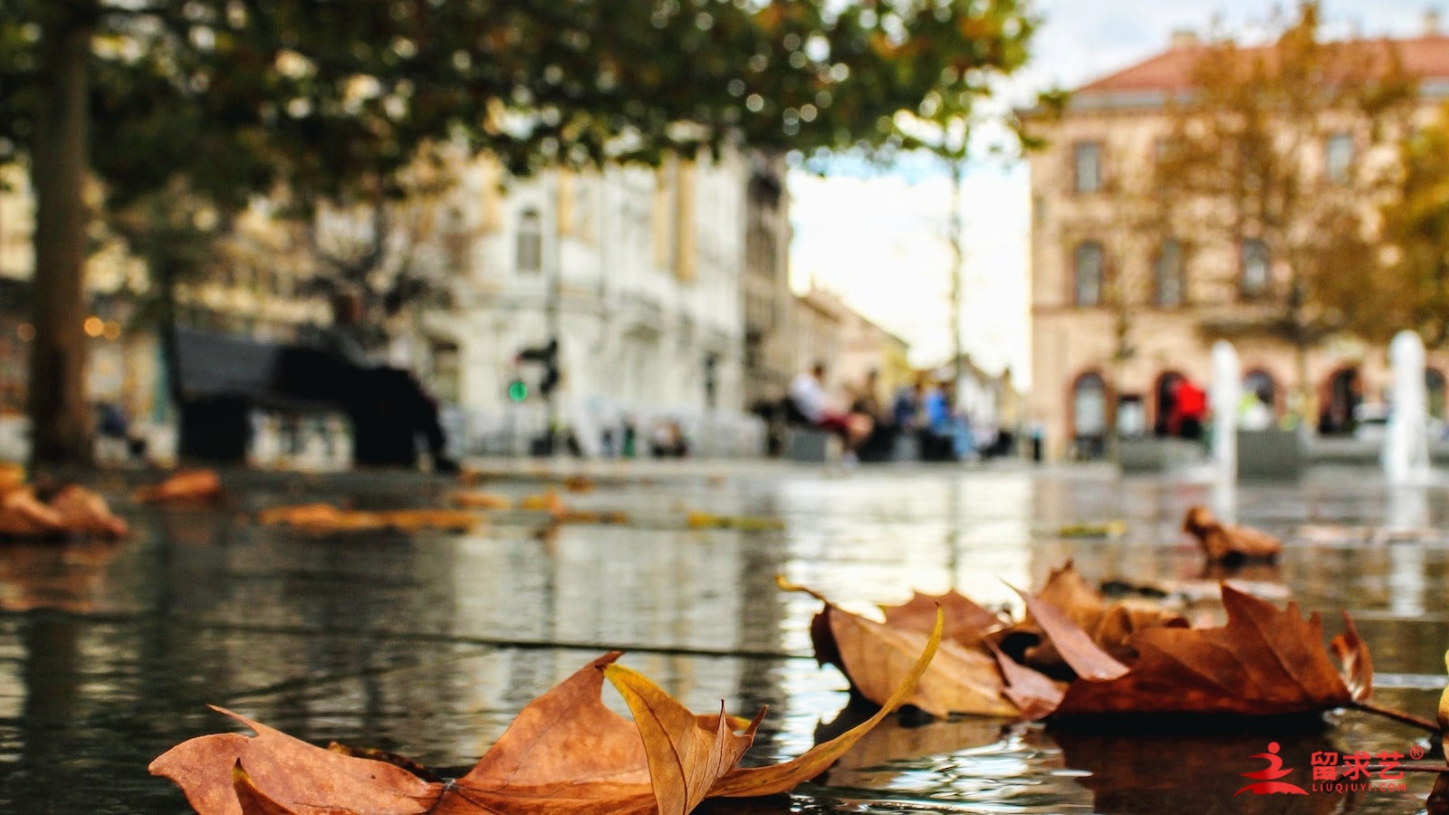 埃迪斯科文大学详情 埃迪斯科文大学详情