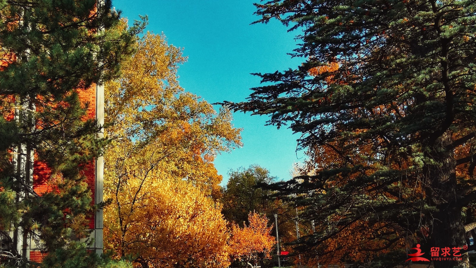 纽约市立大学史丹顿岛学院 - 美国留学的保底学校 纽约市立大学史丹顿岛学院 - 美国留学的保底学校