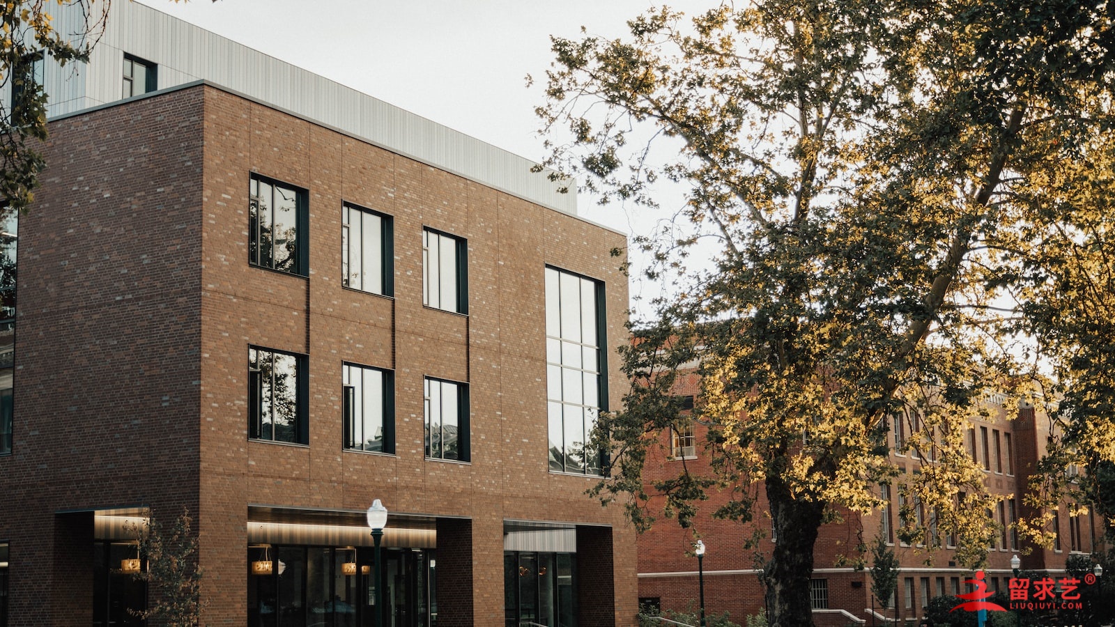 莱斯特大学 莱斯特大学