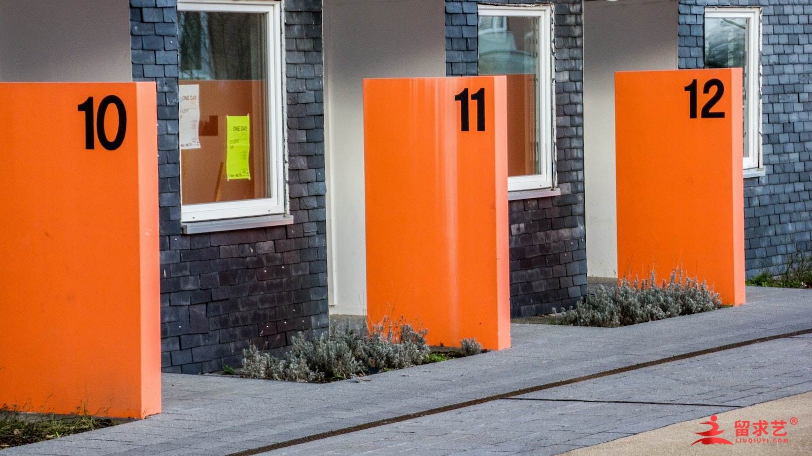 国王爱德华六世学院 国王爱德华六世学院