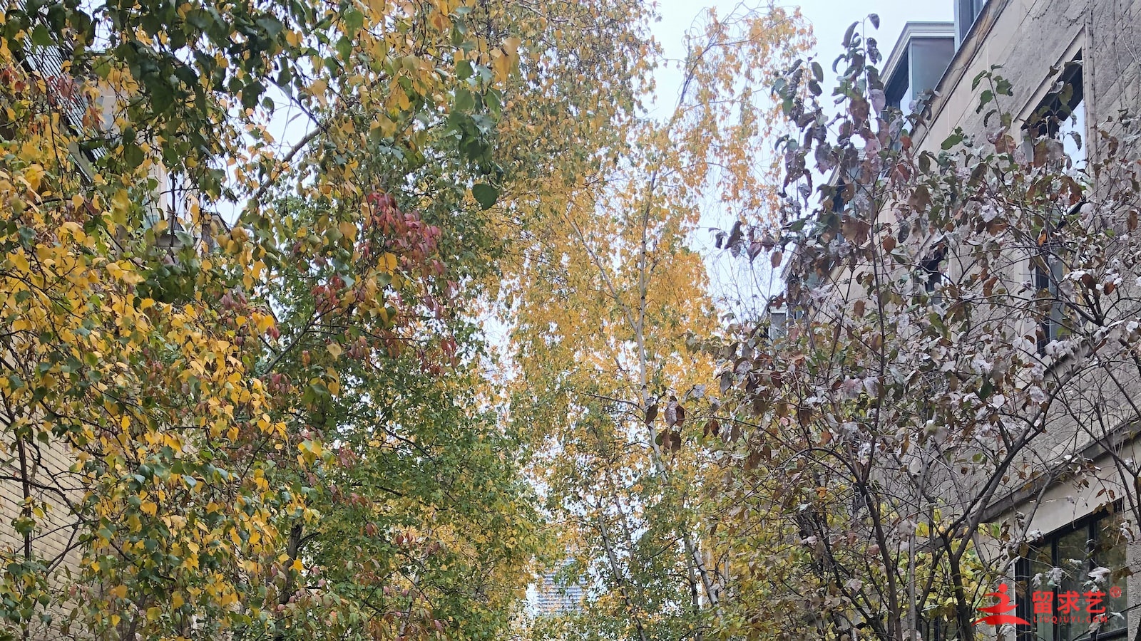 芝加哥艺术学院艺术专业介绍