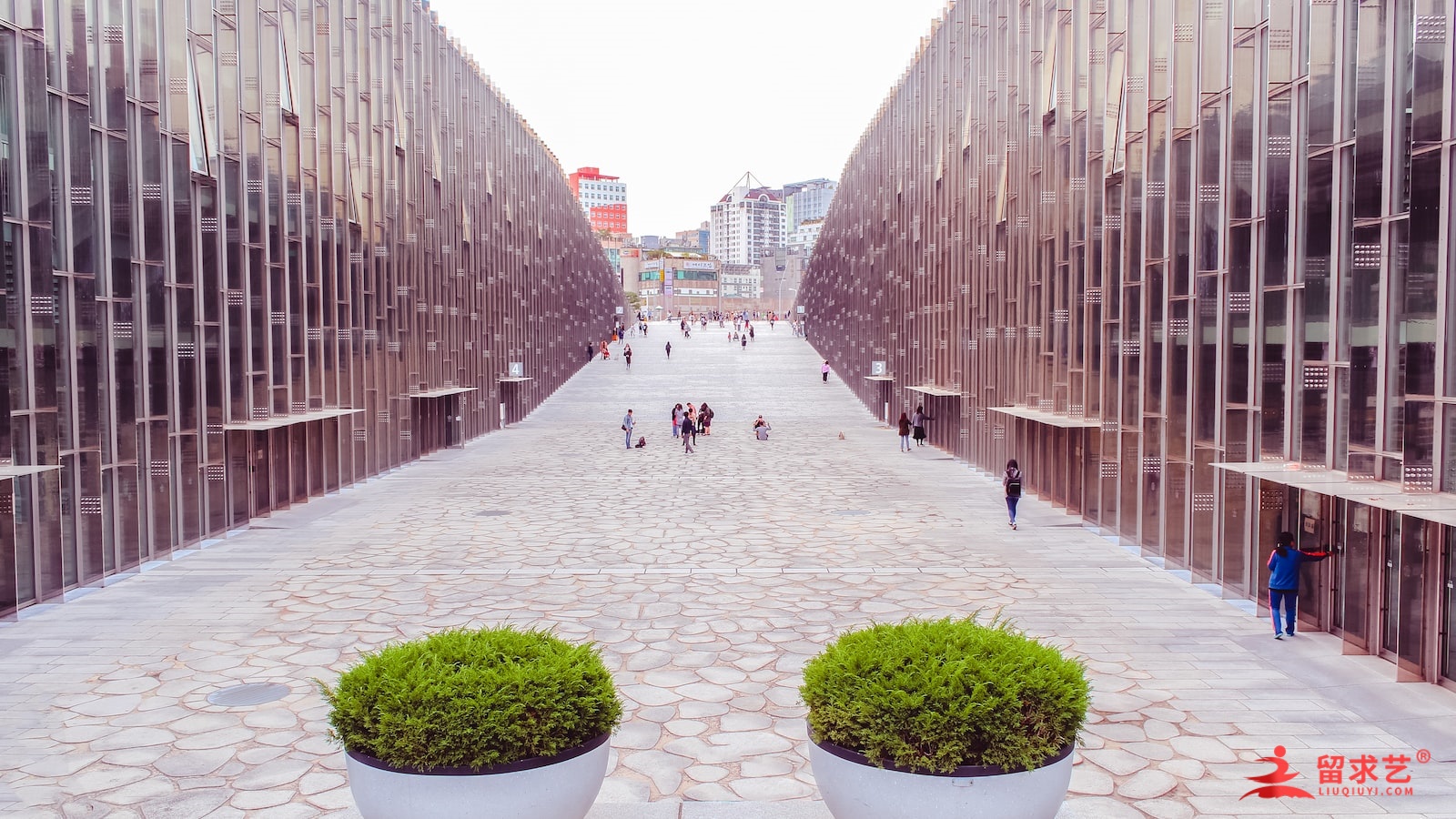 美国杜兰大学怎样? 美国杜兰大学怎样?