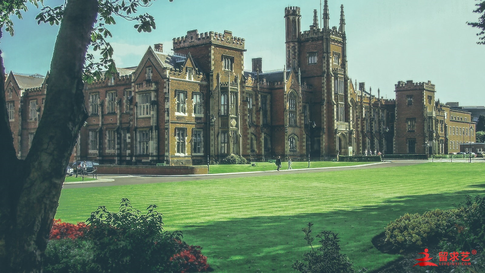 2024g类雅思作文考什么