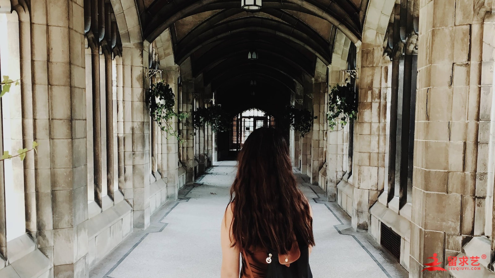 2024报考雅思的条件 2024报考雅思的条件