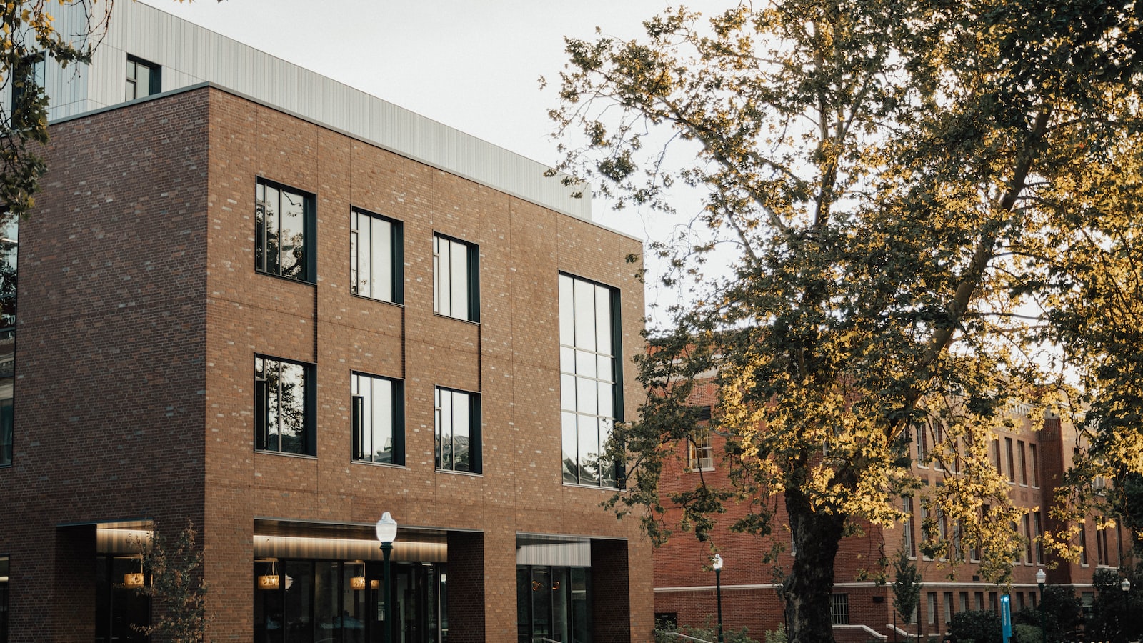 思茅马来西亚留学培训机构哪家好按关注度排名 思茅马来西亚留学培训机构哪家好按关注度排名