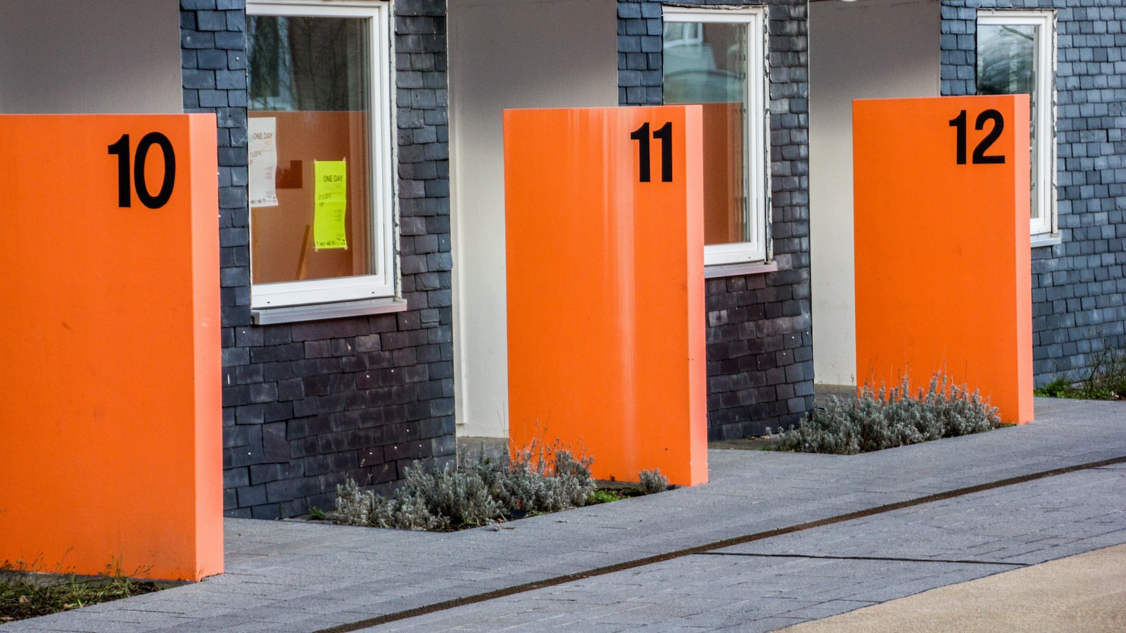 山南新西兰留学申请哪个中介好口碑实力兼具榜单 山南新西兰留学申请哪个中介好口碑实力兼具榜单