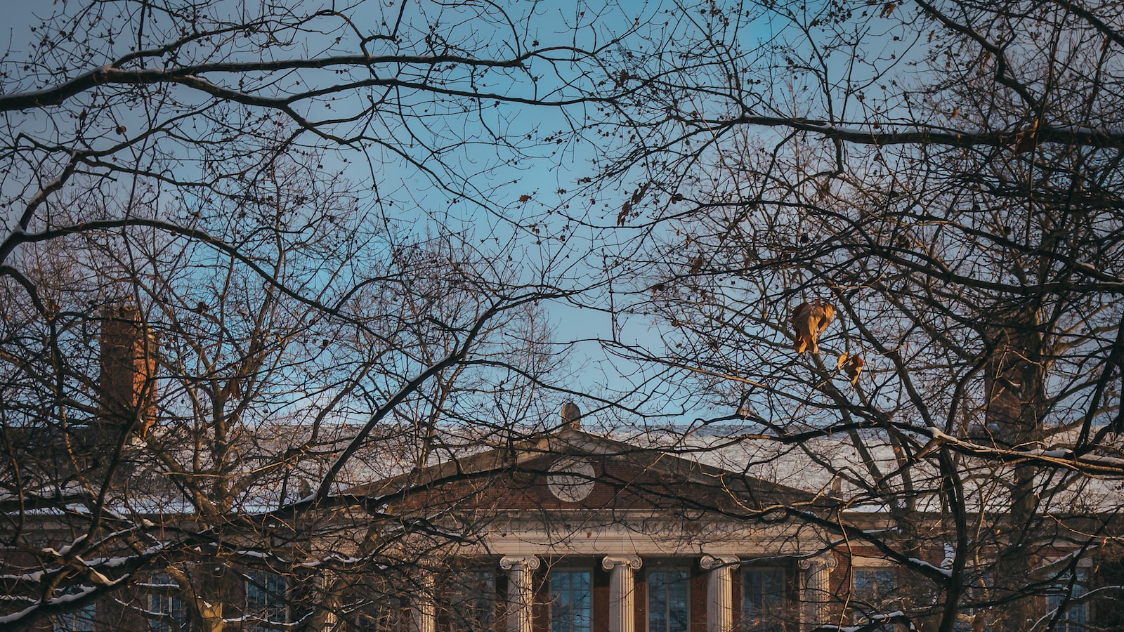 遵义出国留学培训机构哪家好(2024最新版)