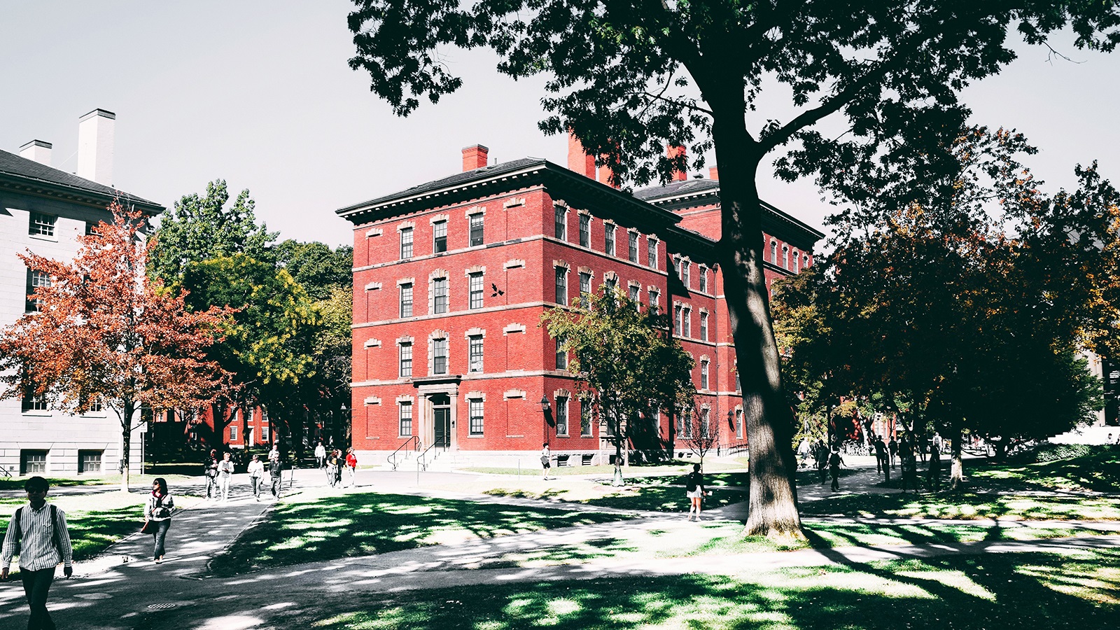 景德镇新西兰留学培训机构哪家好按热度排名名单一览