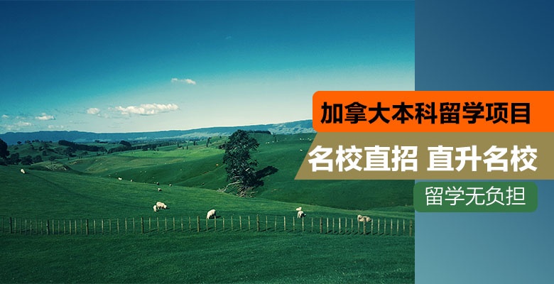 常州可以申请美国研究生留学中介机构按好评度排名