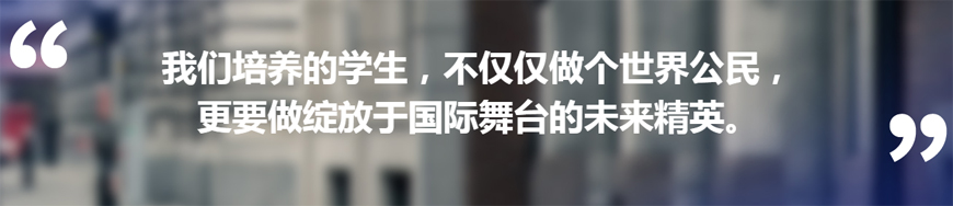国际学校备考-国际课程ALEVEL,IB,AP课程辅导g 国际学校备考-国际课程ALEVEL,IB,AP课程辅导