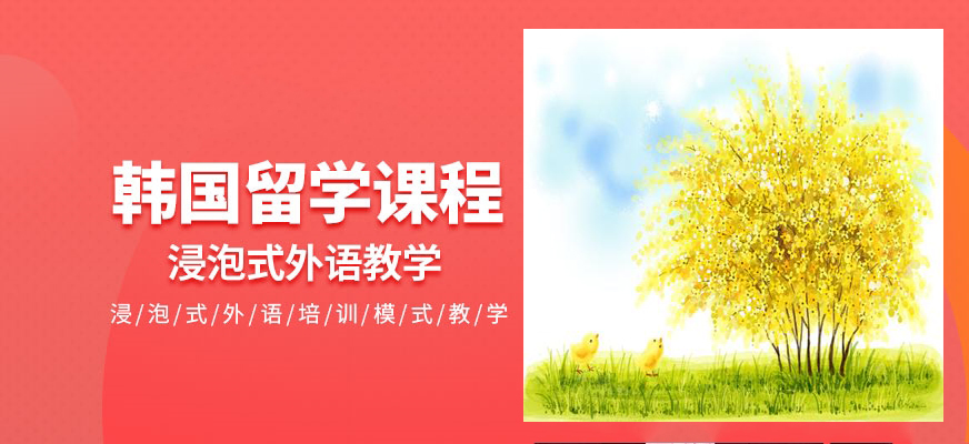韩语培训-韩国留学