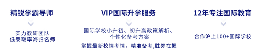 国际学校备考-国际课程ALEVEL,IB,AP课程辅导g 国际学校备考-国际课程ALEVEL,IB,AP课程辅导