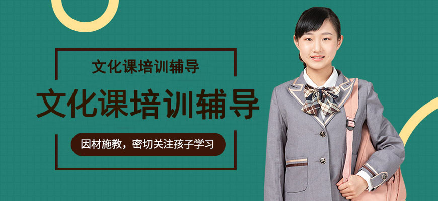 专业高考辅导机构