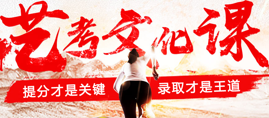 艺考文化课培训班