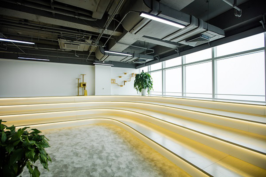 雅思线下课培训机构