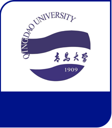 青岛大学